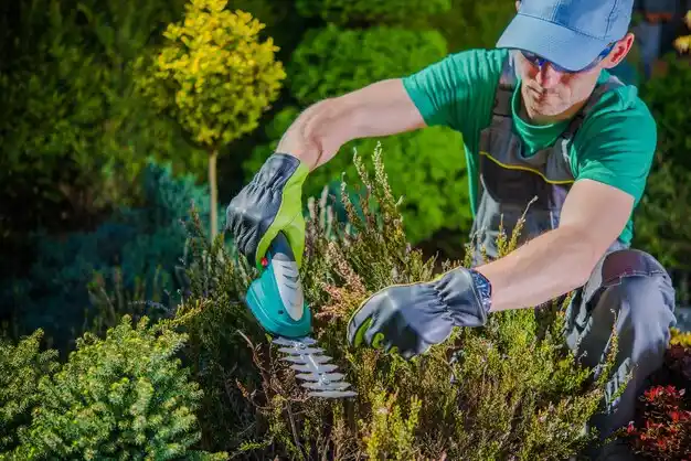 landscaping services Hammond